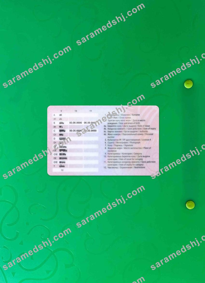 Kyrgyzstan driving license 2019-present photolook BACK